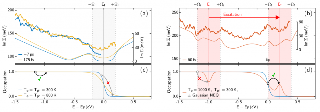Fig. 1 Comparison of nonequilibrium many-body interactions in experiment and theory. (a) Imaginary part of electron self-energy Im(Σ) as a function of energy for thermalized electron distributions at -7ps with electron and phonon temperatures of Te = Tph = 300K (thick blue line: experiment, thin blue line: theory) and at 175fs with elevated temperatures of ~800 K (thick yellow line: experiment, thin yellow line: theory). (b) Im(Σ) as a function of energy for a delay of 60fs, where the electron system exhibits a strong non Fermi−Dirac nonequilibrium distribution (thick red line: experiment, thin red line: theory). (c,d) Electron distribution functions and schemes of possible electron−phonon scattering processes in the case of equilibrium Fermi−Dirac distributions, (c), and strong non-Fermi−Dirac nonequilibrium distributions (d).