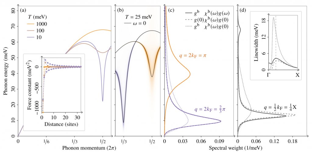 Figure 1. Results for the generalized (a)–(c) one-dimensional Peierls and (d) three-dimensional Fröhlich models. (a) Adiabatically screened phonon dispersion in random phase approximation (RPA) with Kohn anomaly for different electronic temperatures T at half filling. The inset depicts the corresponding interatomic force constants. (b) Phonon spectral function in RPA together with adiabatic phonon dispersion at half filling (orange) and one-third filling (mauve). (c) Cross section through the spectral function at the Kohn anomaly by using RPA (solid lines) and a comparison with a result obtained by a combination of two screened vertices (dashed lines) and bare-screened vertices (dotted lines). (d) Corresponding figure for the Fröhlich model. The inset depicts the linewidth as a function of q. The approach using two screened vertices remains close to the RPA result. 